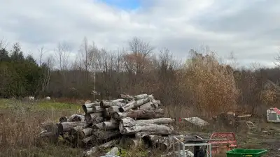 Big load of hardwood/Firewood, View more