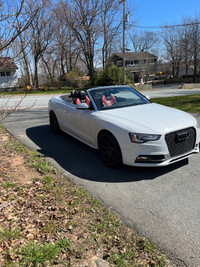 2013 Audi S5 convertible ( check engine )