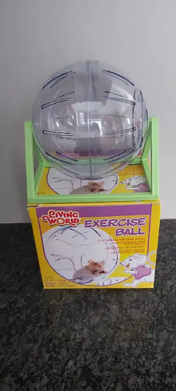 Living World Exercise Ball For Small Animals, View more