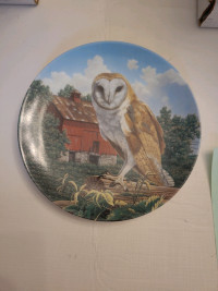 The Barn Owl by Jim Beaudoin Edwin M Knowles 1990