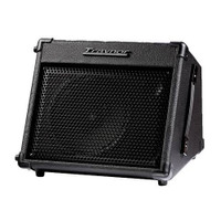 Traynor Battery Acoustic Amp