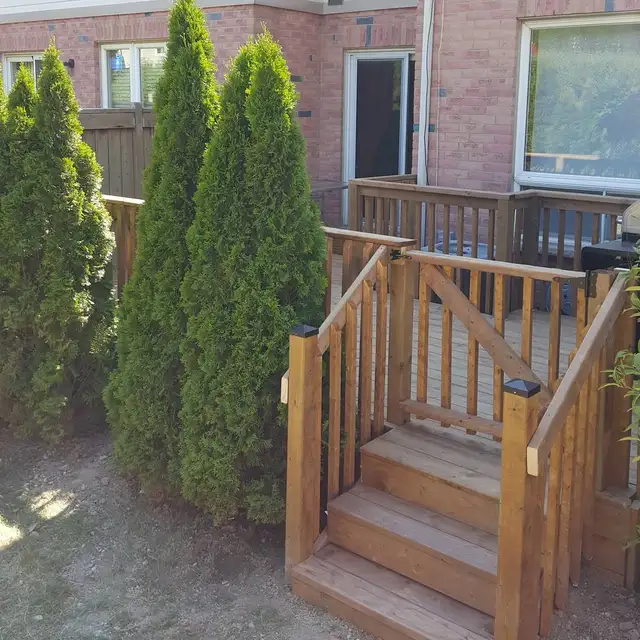 Fencing & Decking (Low Prices!)62863719262594124