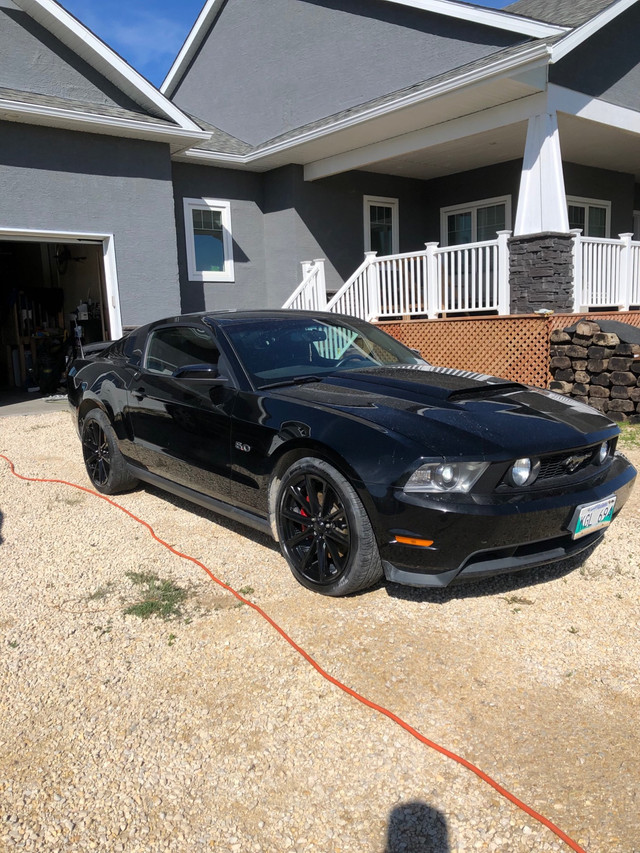 2011 5.0 mustang in Cars & Trucks in Winnipeg