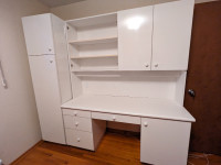 Custom Desk with top hutch and side storage area