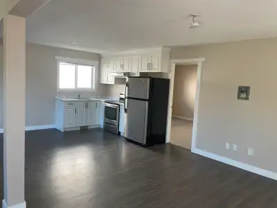 Spacious 1 bedroom basement suite available in very quiet neighborhood , available for June 1st or J...