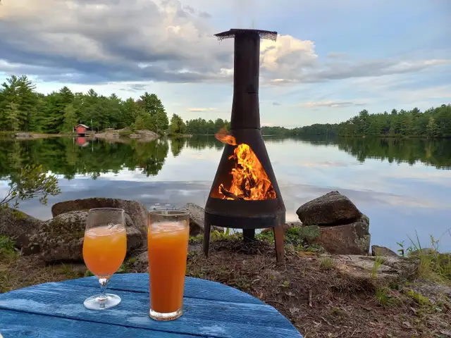 ►►CANCELLATION !WATERFRONT COTTAGE - 20FT FROM LAKE RARE◄◄ in Ontario in Canada - Image 10