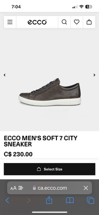 Brand new Ecco men’s shoes 9-9.5