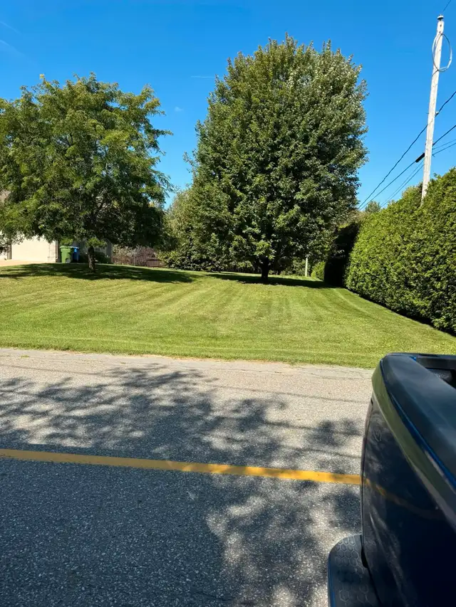 Landscape Maintenance62863226440963121