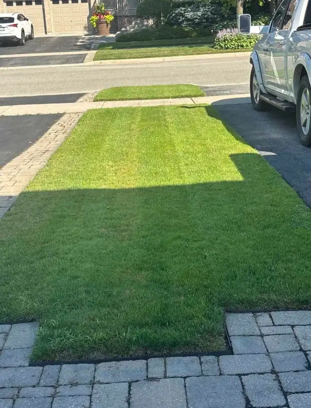 Toronto & GTA Landscaping | Lawn Care, Garden Services in Lawn, Tree Maintenance & Eavestrough in City of Toronto - Image 6