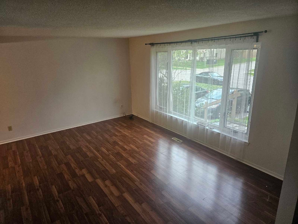 Top Two Floors Bronte Rental 4