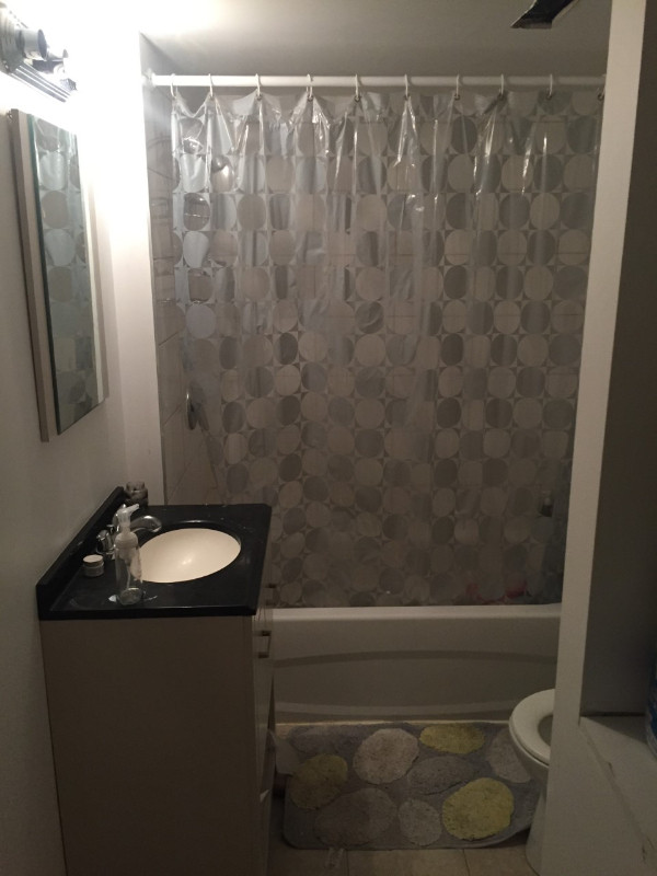 Room for rent for student in Room Rentals & Roommates in Ottawa - Image 3