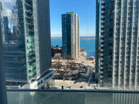 $1300 Roommate wanted for Harbourfront July 1st or asap