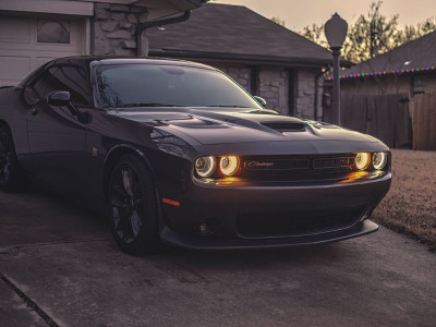 WIDE VARIETY OF DODGE CHALLENGERS FOR SALE - NEW AND USED