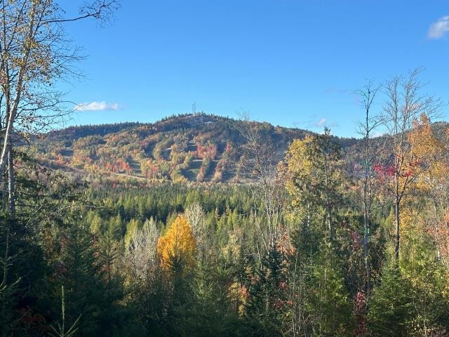 Superbe terrain résidentiel à Saint-Côme Lanaudière — photo 1