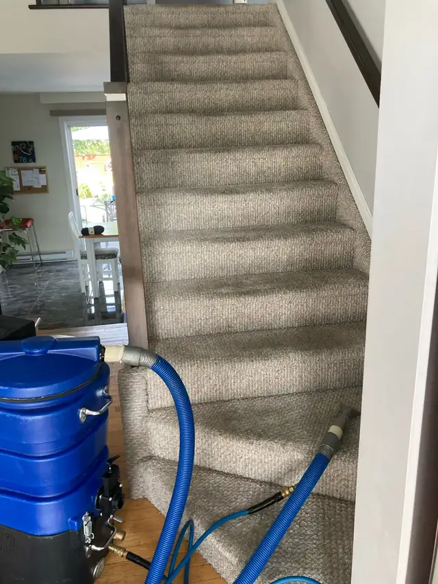 Carpet and  sofa chair cleaning 
