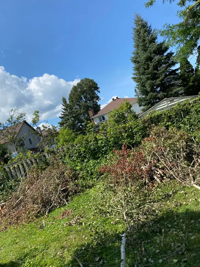 Ramassage des déchets et démolition de terrasse/hangar, in Other in Gatineau - Image 9