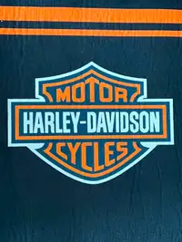 Harley Davidson display Carpets Garage Decor Motorcycle mats