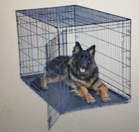 36' Dog Kennel Crate