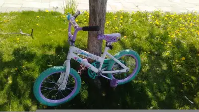 Road Racer Bicycle , View more