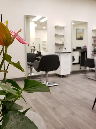 Chair Rental - South Calgary, View more