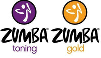 1LB Zumba Toning Sticks - $20 /Pair