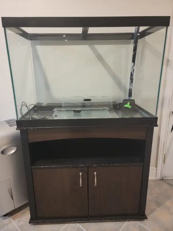 Large Tropical Fish Tank in Accessories in Mississauga / Peel Region - Image 3