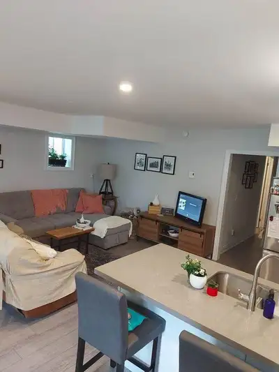 1 Bedroom Apartment - Furnished