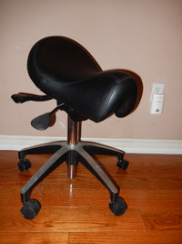 Deluxe Professional Grade Ergonomic Saddle Seat