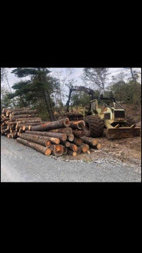 Buying stumpage/standing timber 