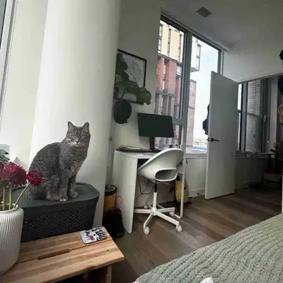 SUMMER SUBLET: 1 bedroom available in 3 bedroom unit