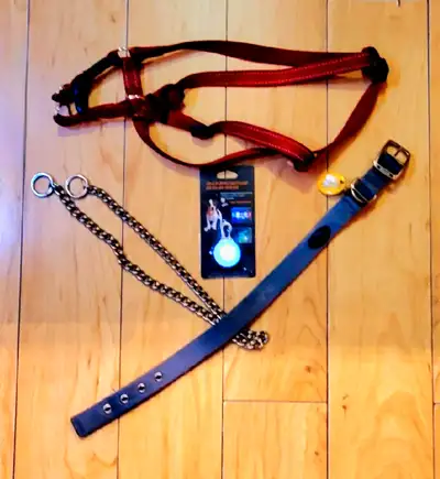 Complete Harness & Collar Set w/ LED LIGHT Used Like New & TESTED Fits: All Breeds Medium - Large Do...
