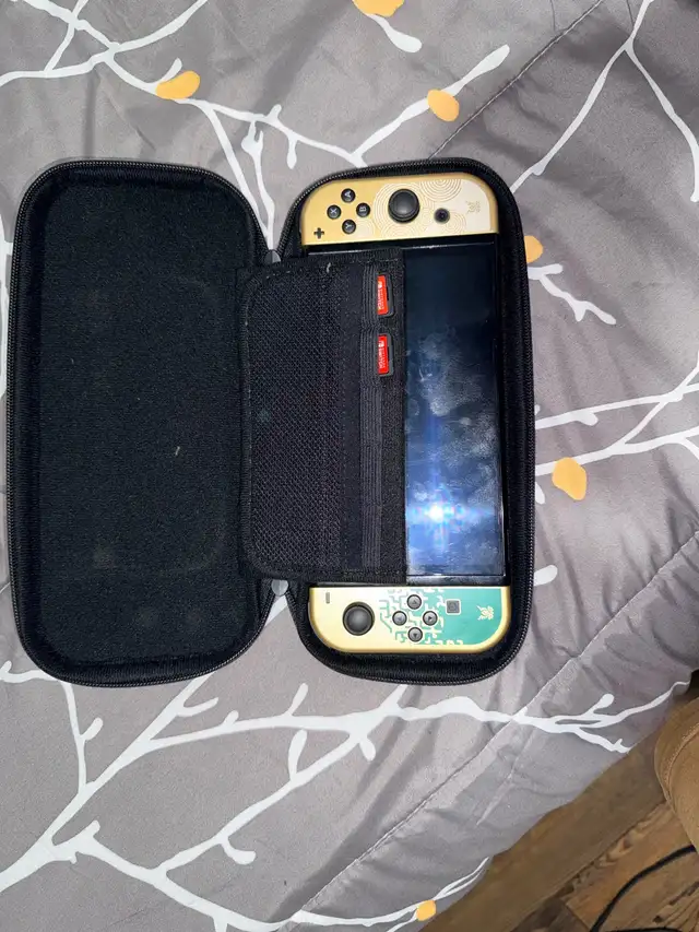 Nintendo Switch551578552029030402