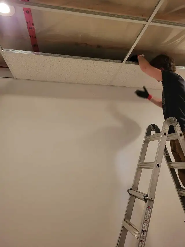 drop ceiling 65745638910466124