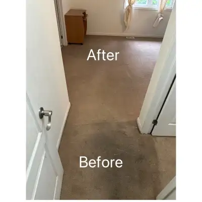 carpet and sofa steam cleaning, View more