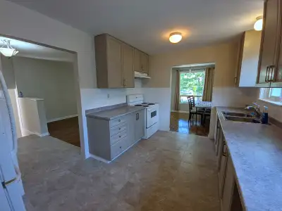 Big Beautiful Detached Raised Bunglow with Four bedroom and two Full bathroom's for rent in Bolton,...