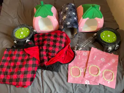 Guinea Pig Accessories Lot, View more