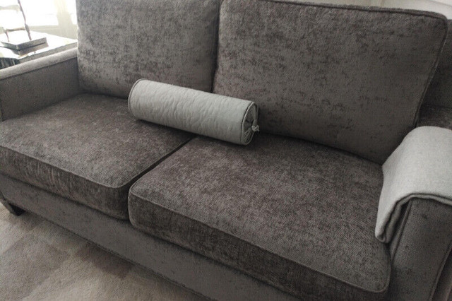 Loveseat/Couch in Couches & Futons in Kitchener / Waterloo