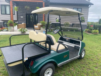 2012 Club Car DS 48V Electric Golf Cart