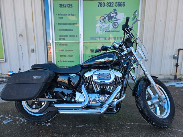 2013 Harley Davidson XL1200C Sportster in Street, Cruisers & Choppers in Grande Prairie