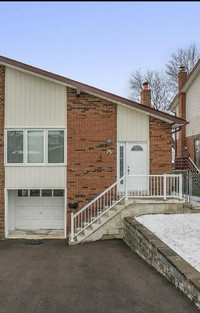 Totally renovated 5 level semi detached 