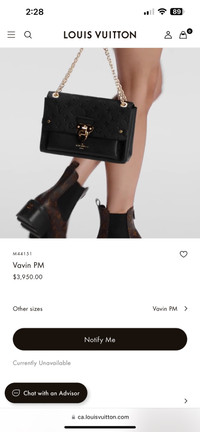 Louis Vuitton bag (vavin pm)