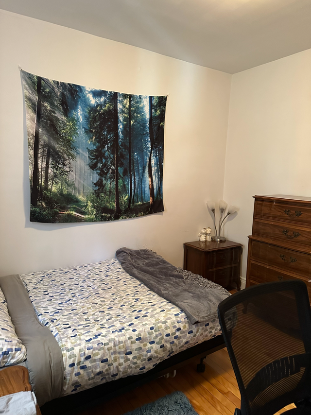 All Included Furnished Room near Plamondon in Room Rentals & Roommates in City of Montréal - Image 3