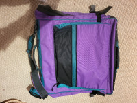 Suit carrier for traveling
