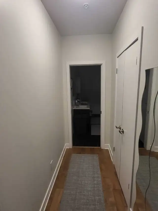 Professional Painter – Clean and Guaranteed Work64840203426435122