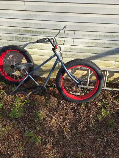Moose fat tire bike, View more