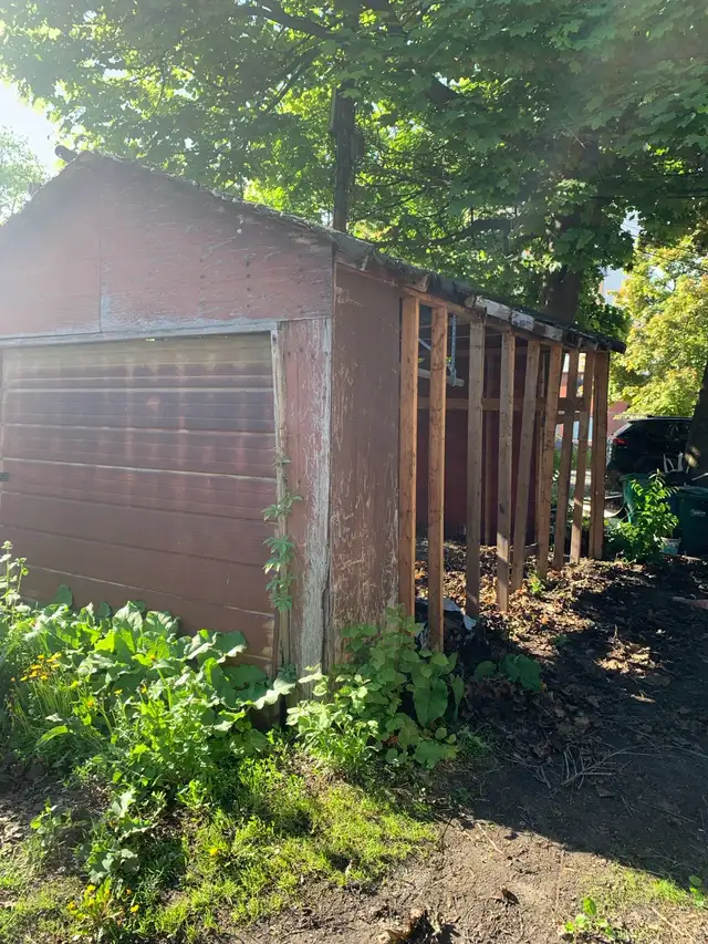 Garbage-Junk Removal in Other in Kingston - Image 6