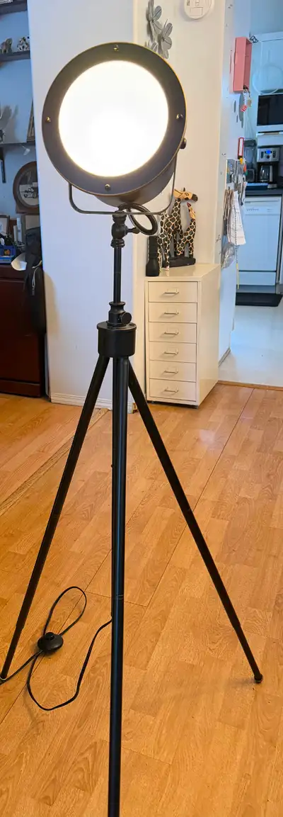 Adjustable Floor Lamp, View more