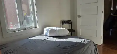 Libre dès maintenant : chambre à louer sur le Plateau dans une coloc de 4 au dernier étage avec stat...