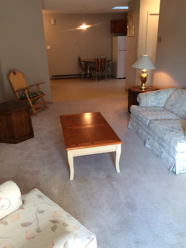 Kincardine (Port Elgin) 1 bdr Apartment for Rent- furnished in Long Term Rentals in Owen Sound - Image 2