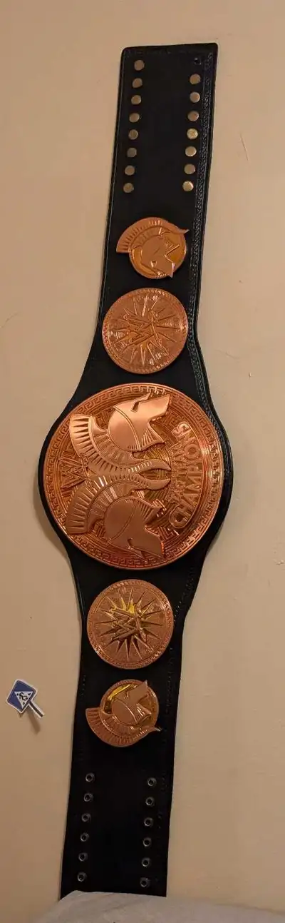 Brand new WWE unified tag team championship , View more